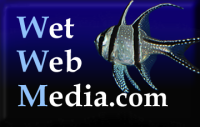 Your One Stop Information Source for Aquatic Husbandry, Marine, Freshwater (Including Planted Tanks), Brackish since 1995
