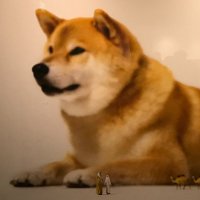 LiuGF (@a9ibsnczumdnxk5) 's Twitter Profile