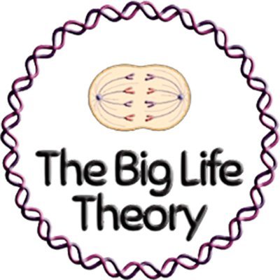 BigLifeTheory's profile picture. La ciencia que siempre te interesó, en 5 minutos. Con Laura L. Mendizábal (Antropóloga física 👣) y Esther Anguiano (Neurobióloga 🧠). En YT, Twitch y Podcast.