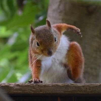 Dukedo235's profile picture. 