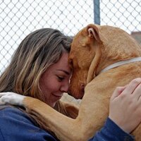 StopSlaughterAtNYACC (@stopslaughtracc) 's Twitter Profile