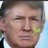 trump_bonald