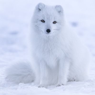 AgurtoAna16's profile picture. 