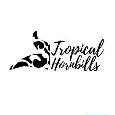 TropicalHornbil Profile Picture