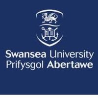 Maternity Care Swansea Uni (@maternitycaresu) 's Twitter Profile