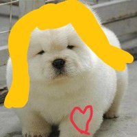 Lopezgirlfriend101 (@lopezgirlfriend) 's Twitter Profile