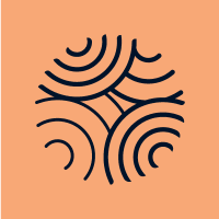Manchester Roots Project (@rootsprojectmcr) 's Twitter Profile Photo Manchester Roots Project (@rootsprojectmcr) 's Twitter Profile Photo