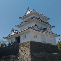 つーじー (@tyobinosuke2) 's Twitter Profile
