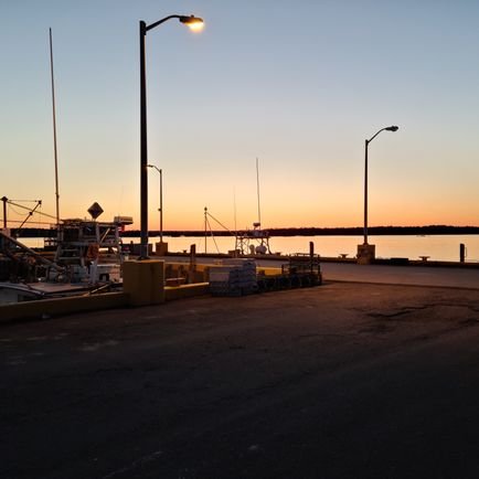 TylerCo04008639's profile picture. 