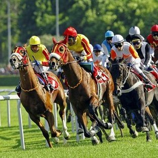 18Bariyerdibi's profile picture. 