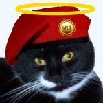 Mr Tibbs Profile