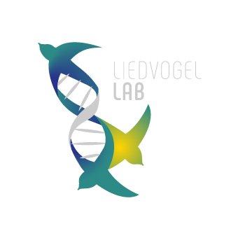 liedvogel lab