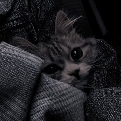 cuzyouraa's profile picture. senyumin aja:)