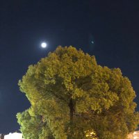 oneo (@neo3158) 's Twitter Profile