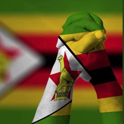 My dream is to see a prosperous Zimbabwe made by united Great Zimbabweans