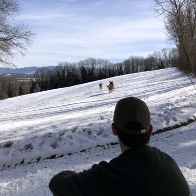 achille_foraz's profile picture. 