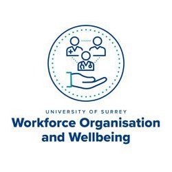 Healthcare Workforce, Organisation and Wellbeing research at the University of Surrey