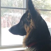 Ms. Kerry (@mrskerrytx) 's Twitter Profile