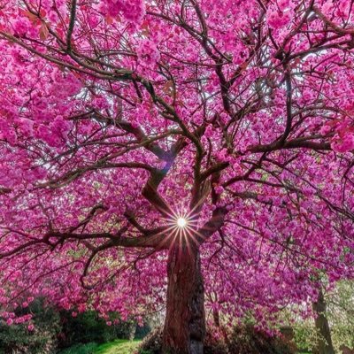 frshprincez's profile picture. Daughter...wife...NEW mother 🙌🏾🙏🏾...food lover. On the road toward my destiny........wait....what exit was that?!