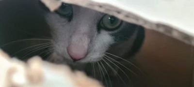 leterrier_ray's profile picture. Rien, niet, nada!

baby yoda 😍