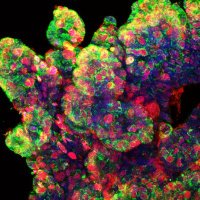 CSebastianLab (@csebastianlab) 's Twitter Profile Photo CSebastianLab (@csebastianlab) 's Twitter Profile Photo