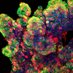 CSebastianLab (@csebastianlab) Twitter profile photo CSebastianLab (@csebastianlab) Twitter profile photo