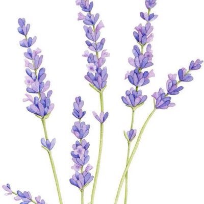 lavandamistica's profile picture. 