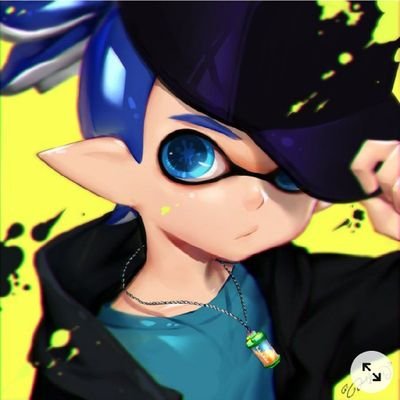 Official Commentator of the DSB               Octobrush Main