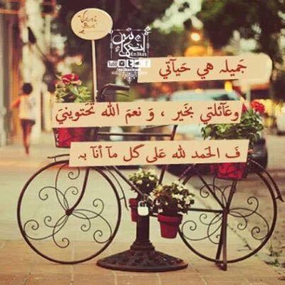 omana28640666's profile picture. جميلة هي حياتي ونعم الله تحتوني وعائلتي بخير فالحمدلله علي ما انا فيه