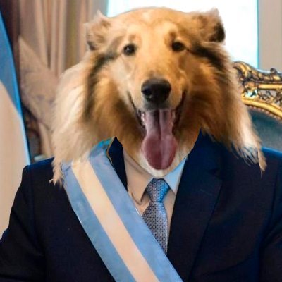 Dylan06688582's profile picture. Volví, en forma de cuenta nueva. 
Paladar y humor no blanco 
Hice el doblaje de Prócer
Tricampeón ⭐️⭐️⭐️
Vacunado desde el '83  contra ✌️