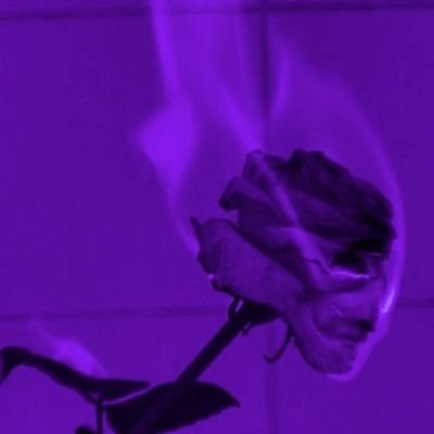 Kaxxxxxx1's profile picture. 22 /