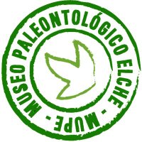 Museo Paleontológico(@mupe_elche) 's Twitter Profile Photo