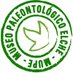 Museo Paleontológico (@mupe_elche) Twitter profile photo Museo Paleontológico (@mupe_elche) Twitter profile photo