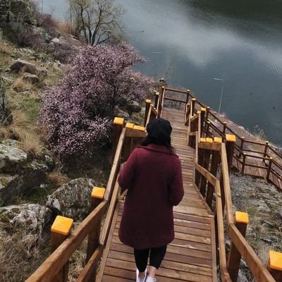 mezigrac's profile picture. Düşüşler sanatsal