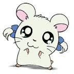 くしくし。森尾ヲナ子だよ。ハムスターだよ。いつか森尾由美ちゃんのようなアイドルになりたいのだ。くしくし。
