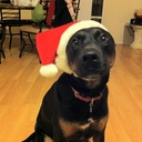 Brian Ritter - @BeeRyeRitter - Twitter