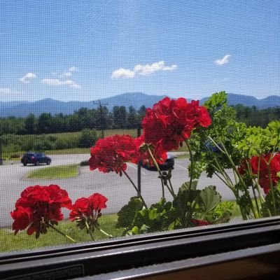 KpipL's profile picture. I help people identify, protect, and monetize their intellectual property- patent, trademark, copyright.