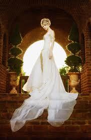 royalswift's profile picture. 