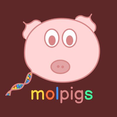 We are the Molecular Programming Interest Group, connecting early career researchers from all over the world!

Check out the molpigs podcast https://t.co/enOIOfyORV