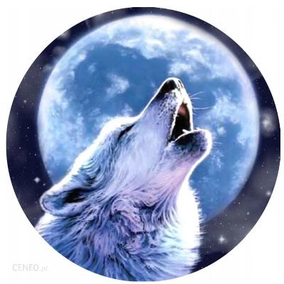 Gaia776's profile picture. Mikrobiolog, Psychodietetyk, Coach, Specjalista Badań Klinicznych