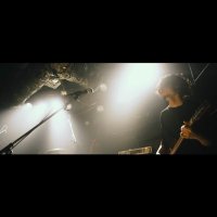 . (@kemishima) 's Twitter Profile