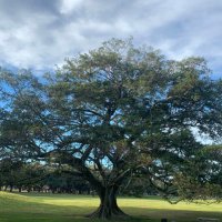 Loren Van Brenk (@lvanbrenk) 's Twitter Profile Photo