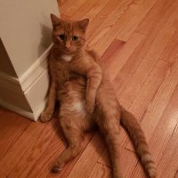 Rod Horton (@rodhorton4) 's Twitter Profile