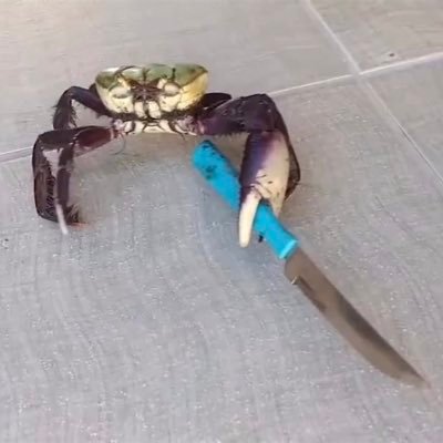 AAAAAAAAAA | ass too fat |  | bigshrimpin🦐🦐🦐🦐🦐