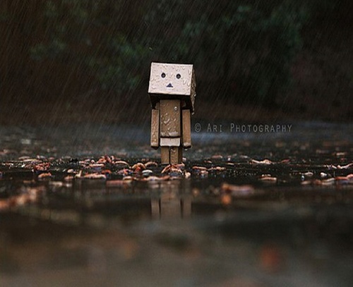 bbisil's profile picture. 