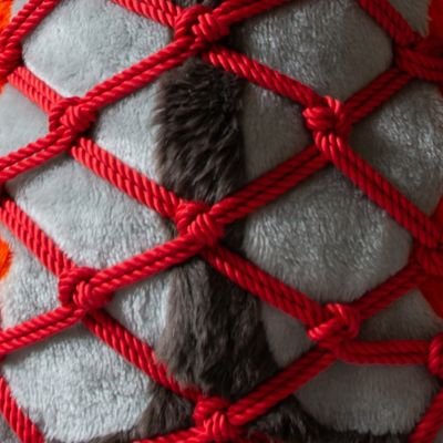 一隻喜歡繩縛的大貓咪
主要分享毛毛繩縛作品
Fursuit shibari and bondage works