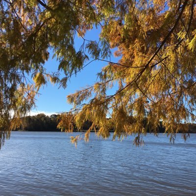 WangLi2021's profile picture. PB Writer