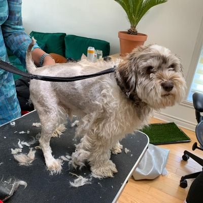 AlejandroCF0's profile picture. 