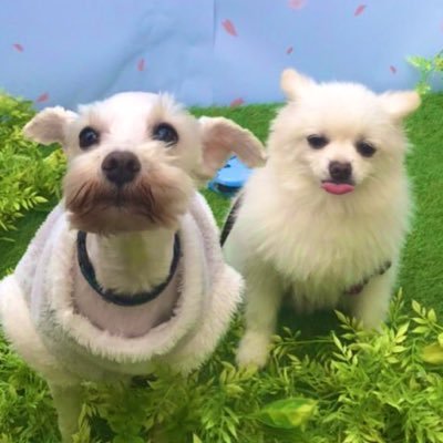 kanap0602desuyo's profile picture. 