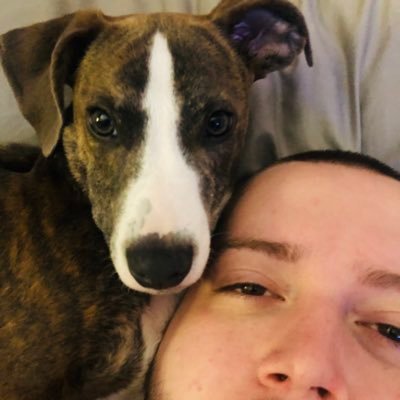 TampaTomLV's profile picture. 